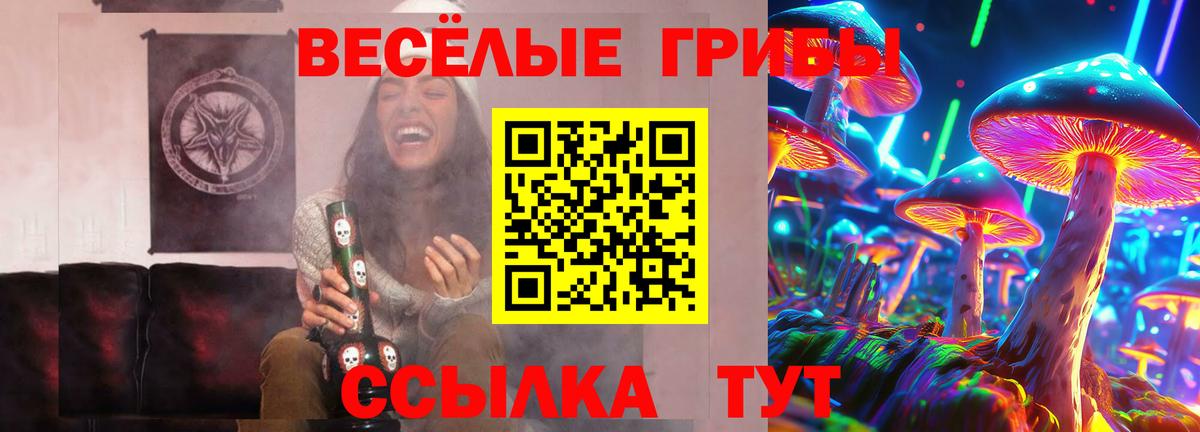 Галлюциногенные грибы прущие грибы Карталы